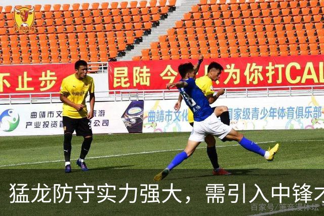 猛龙防守实力强大，需引入中锋才能问鼎东部